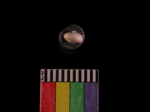 L_V22d5966 A1q1019.4 T922 dM sh f113.JPG.jpg L_V22d5966 A1q1019.4 T922 dM sh f113.JPG